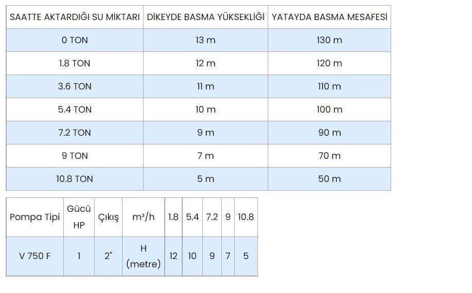 WINPO WNP 750 F Flatörlü Drenaj Dalgıç Pompa