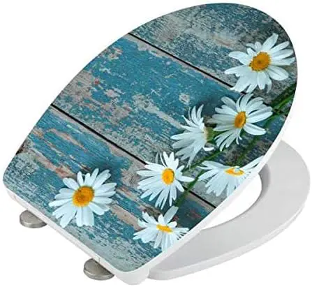 Wenko Asteride Klozet Kapağı