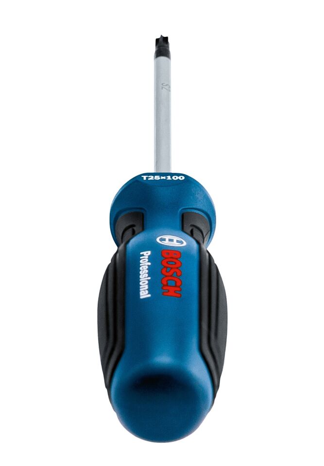 BOSCH Profesyonel T25 x 100 mm Deliksiz Torx Tornavida (1600A01V0D)
