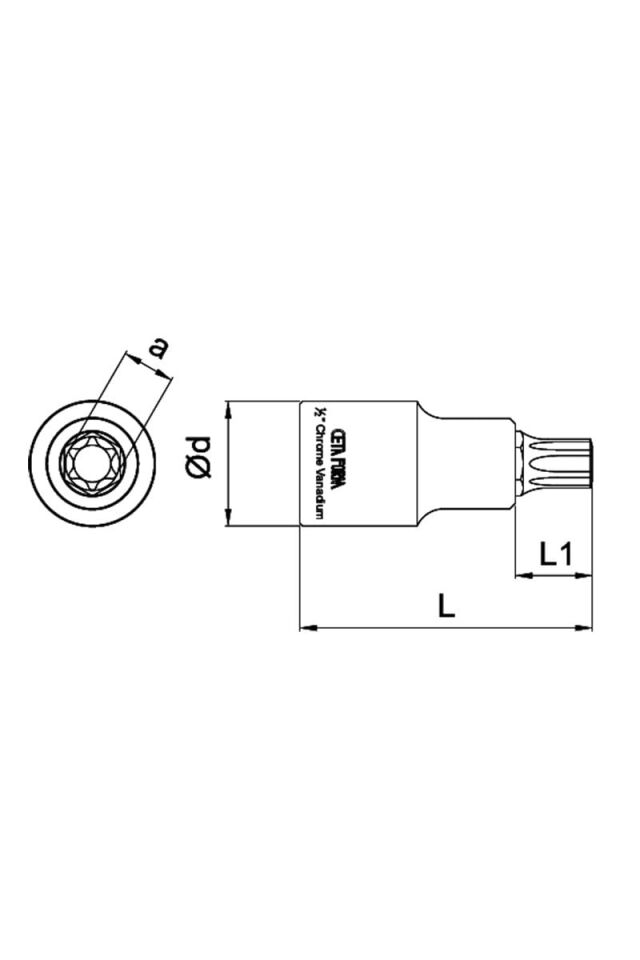 CETA-FORM 1/4'' Torx Uçlu Lokma TR15