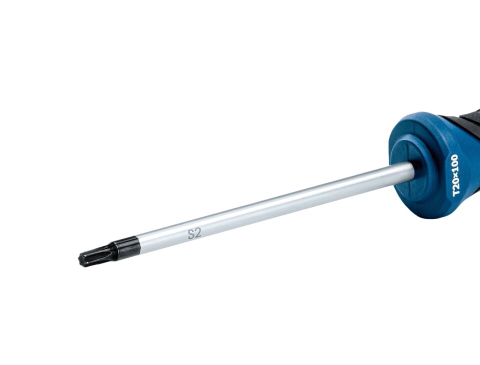 BOSCH Profesyonel T20 x 100 mm Deliksiz Torx Tornavida (1600A01V0C)