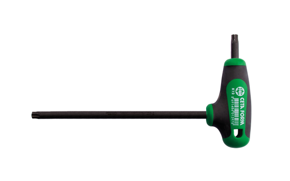 CETA-FORM K12-010-100 T Saplı Torx Alyan T10