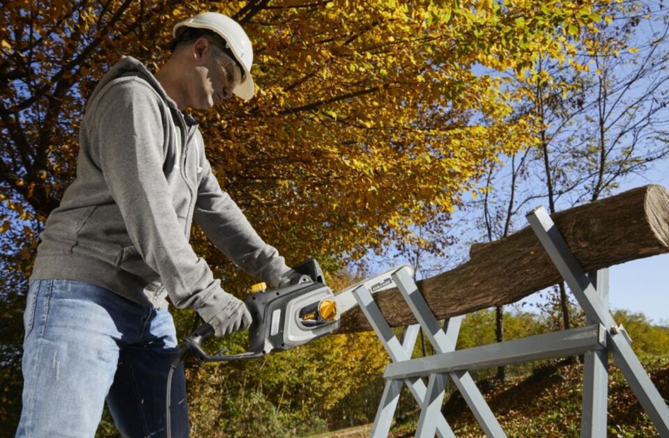 ALPINA ACS 181 E Elektrikli Zincirli Testere Motoru